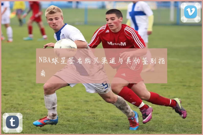 NBA球星签名购买渠道与真伪鉴别指南