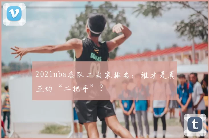 2021nba各队二当家排名,谁才是真正的“二把手”?