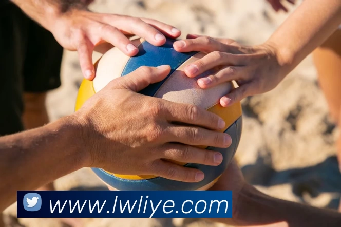 App Interface Preview